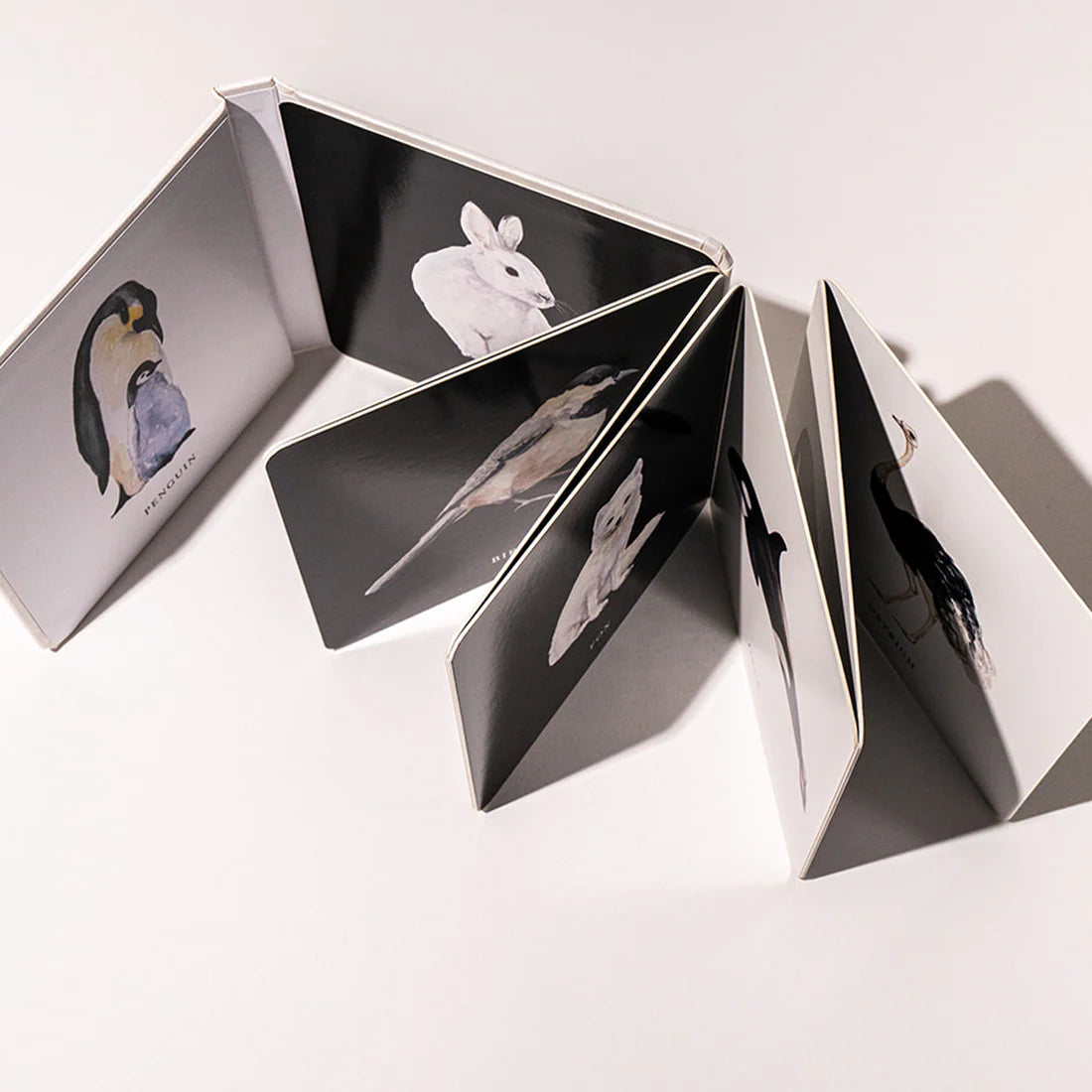 Black and White Contrast Book for Baby