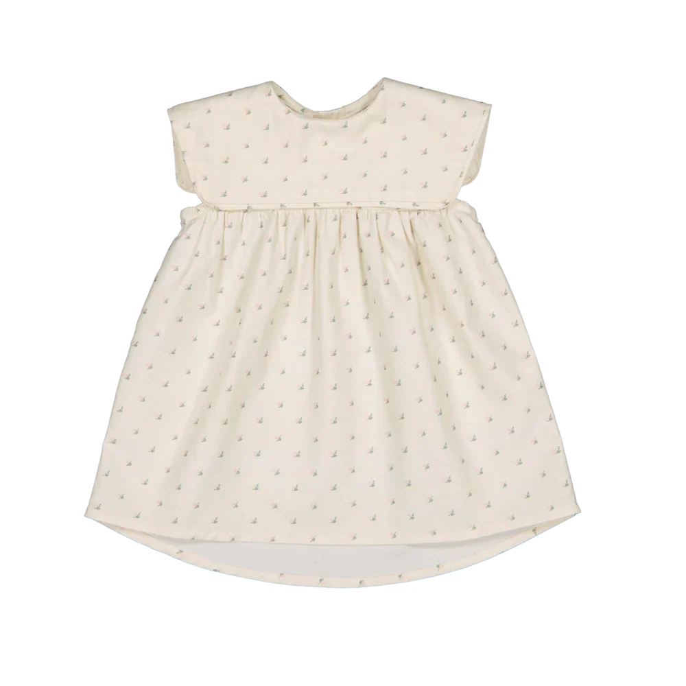 LOIR Paris Dress Colombe - Flower Plumetis 6M