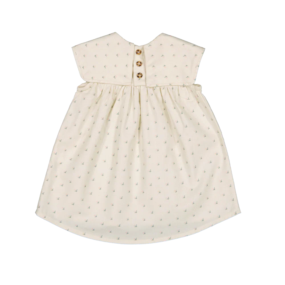 LOIR Paris Dress Colombe - Flower Plumetis 9M