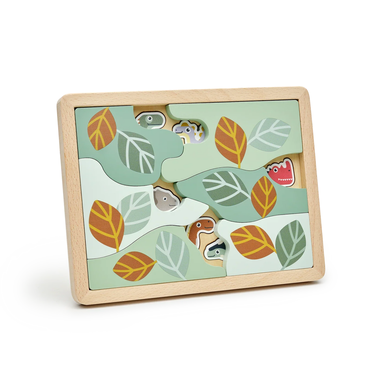 Moover Dino Hidden Puzzle