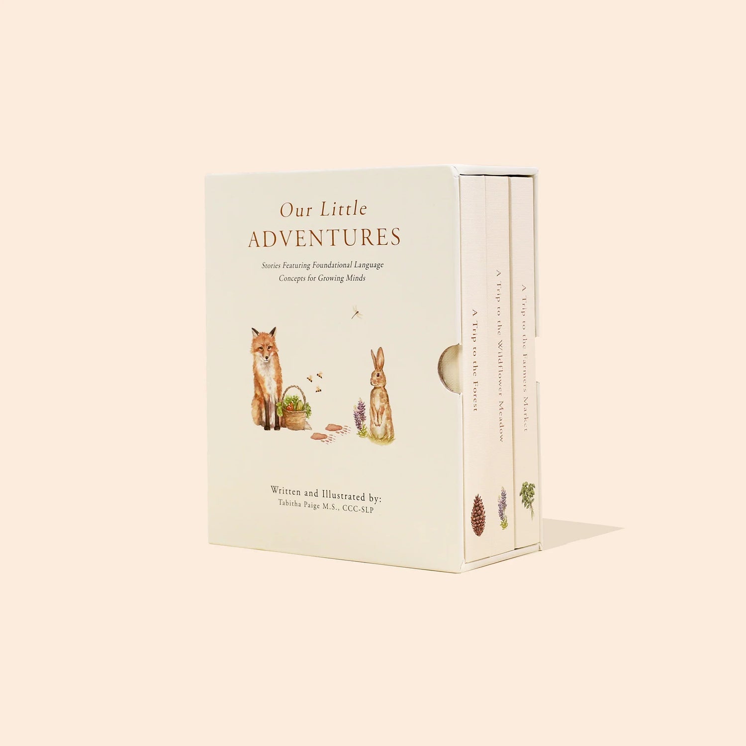 Paige Tate & Co Our Little Adventures Box Set for Kids (3 Board Books)