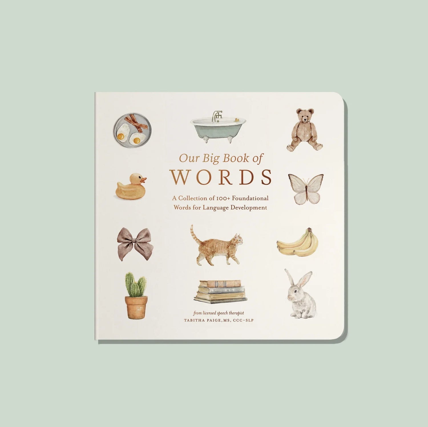 Paige Tate & Co Our Big Book of First Words (Baby Board Book)