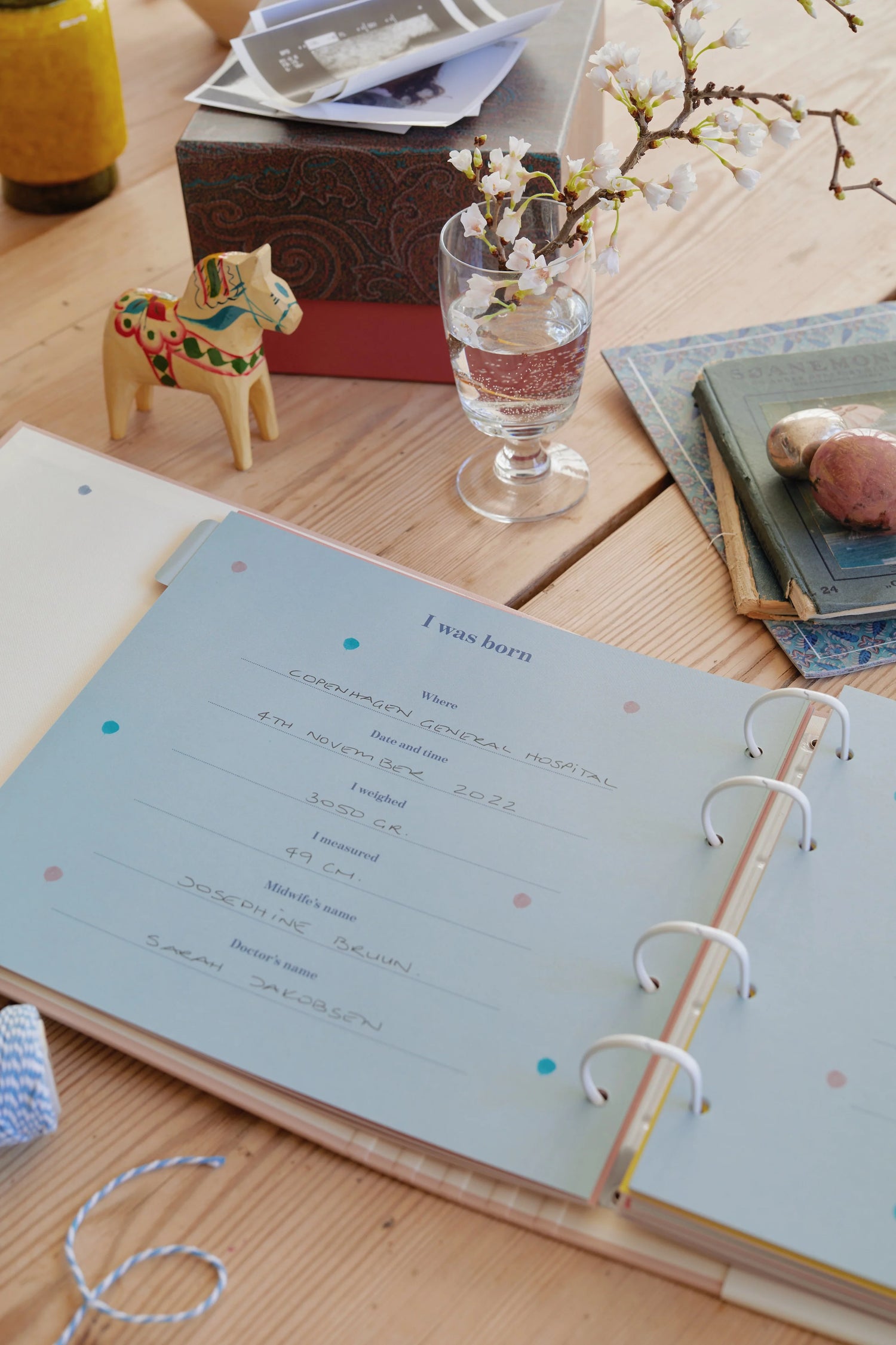 Baby Journal - My First Years
