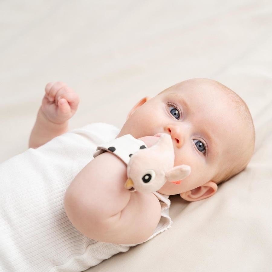 Wrist Rattle 2 Piece Set - Pink