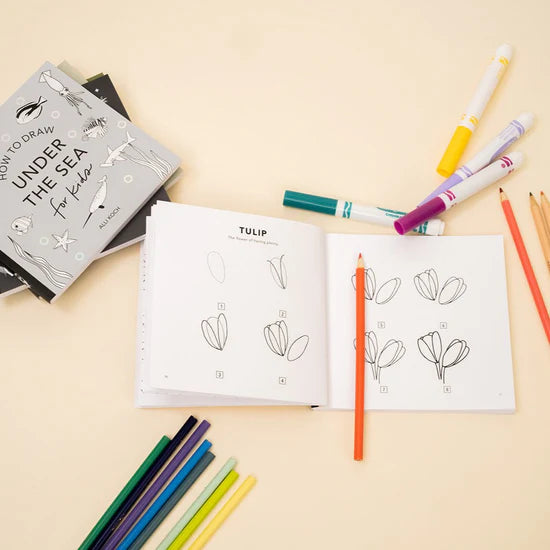 How to Draw So Many Things - Box Set of 5 Books