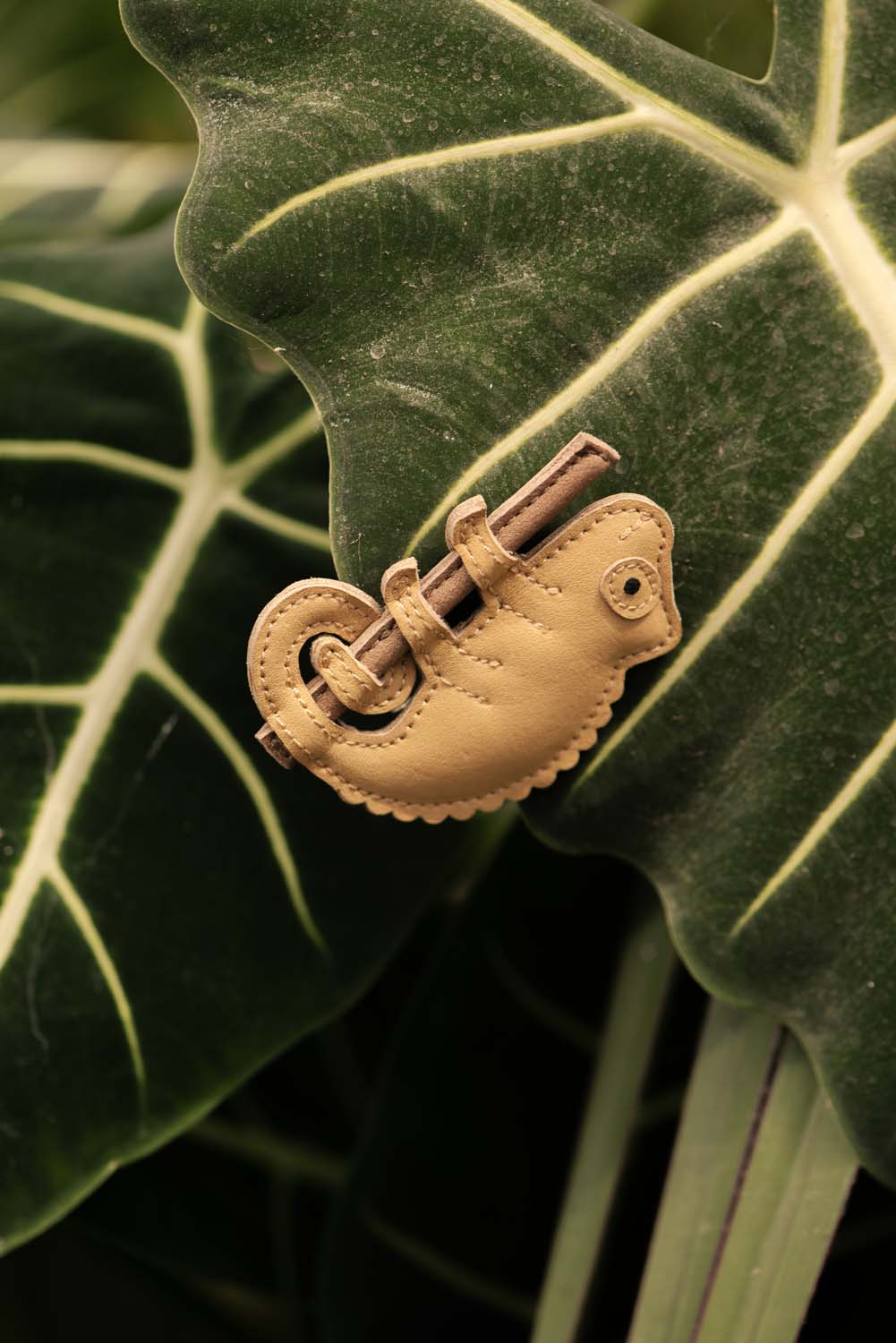 Yellow Chameleon Clip