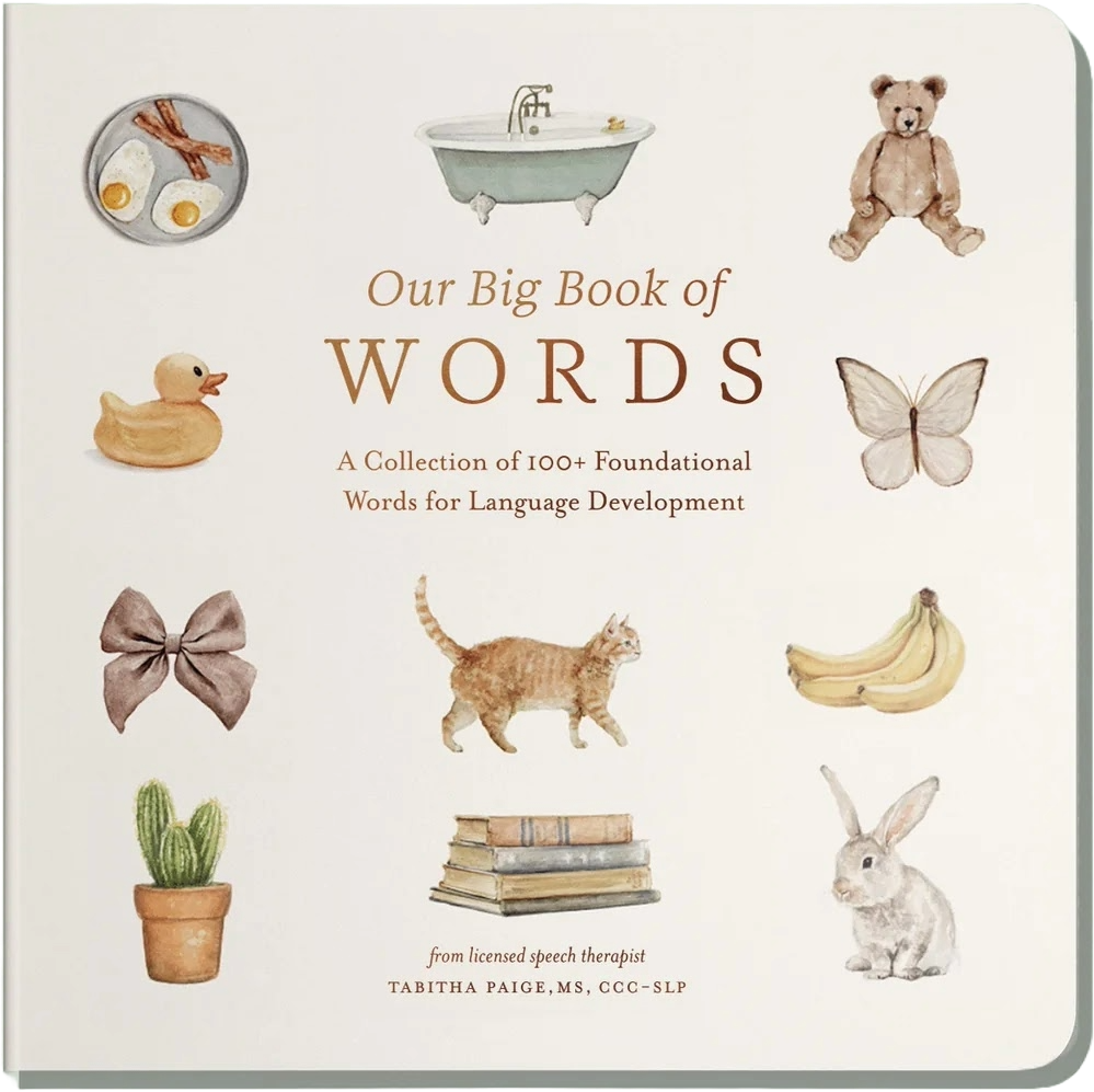 Our Big Book of First Words
