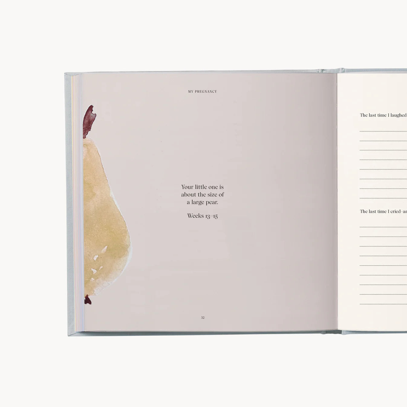 My Pregnancy Journal – Memories & Treasures